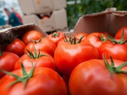 Турция пригрозила России ответными мерами из-за томатов