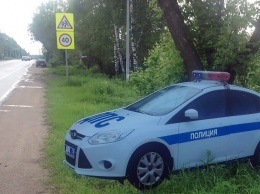 Власти Подмосковья пожаловались на кражи муляжей автомобилей ДПС