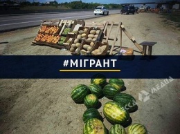 Полиция составила десятки протоколов на нелегалов, торгующих арбузами вдоль трасс в Одесской области