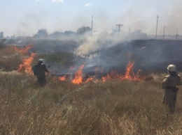 Вчера на Херсонщине зафиксировали рекордное количество возгораний на открытых территориях