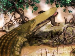 Ученые дали необычное имя "самому отвратительному" доисторическому крокодилу (ФОТО)