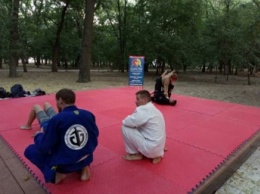 Площадку для йоги уже облюбовали поклонники японских боевых искусств (фото)