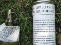 «Джентельменский набор» киевского дачника на Черниговщине: конопля и граната