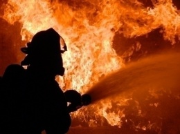 Пожар на Днепропетровщине: загорелся цех на маслобойне