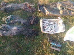 За полмесяца Киевский рыбоохранный поймал 115 браконьеров