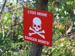 В Донбассе на мине подорвался ребенок