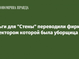 Деньги для Стены переводили фирме, директором которой была уборщица