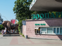 Реконструкцию Киевского зоопарка оценили в 327 млн грн