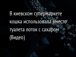 В киевском супермаркете кошка использовала вместо туалета лоток с сахаром (Видео)