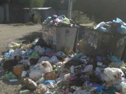 Жители Днепра бьют тревогу: к чему привела мусорная монополия?