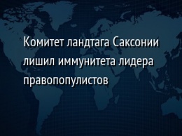 Комитет ландтага Саксонии лишил иммунитета лидера правопопулистов