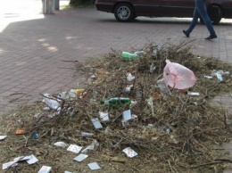 В центре Одессы коммунальщики отказываются убирать мусор (ФОТО)
