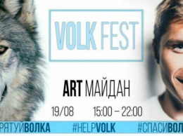 В Кривом Роге друзья ранeного оператора устраивают VolkFest