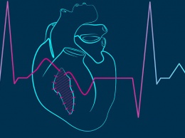 Ученые из МФТИ создали первую компьютерную модель больной сердечной ткани
