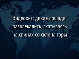 Видеохит: дикие лошади развлекались, скатываясь на спинах со склона горы