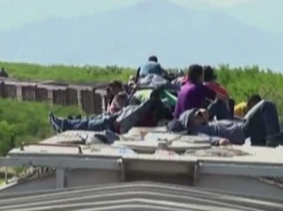 В США в холодильной камере грузовика найдены 60 мигрантов