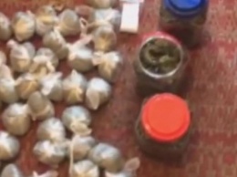 Наркотики вместо вещей: в Харькове интернациональная семейная пара торговала на "Барабашова" коноплей