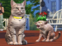 В ноябре в The Sims 4 появятся кошки и собаки