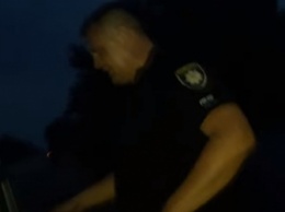 Как полицейские в Кирилловке от автомобилистов-хамов сбежали (видео)