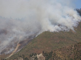 Грузия просит ЕС помочь потушить огромный пожар в Боржомском ущелье