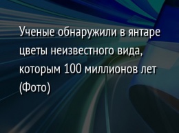 Ученые обнаружили в янтаре цветы неизвестного вида, которым 100 миллионов лет (Фото)