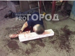 "Резня на "ГАЗе": нижегородский "мясник" при задержании был ранен в ягодицу