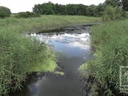 В Саксаганской реке Кривого Рога обнаружили превышенное содержание хлоридов