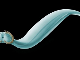 В останках древнего планктона обнаружены уникальные образцы щетинкочелюстных