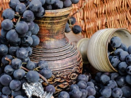 В Италии нашли древнейшее в мире вино