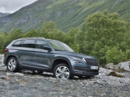 Skoda Kodiaq пропишется в Нижнем Новгороде