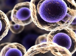 Ученые выяснили влияние наночастиц на клетки организмов