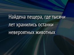 Найдена пещера, где тысячи лет хранились останки невероятных животных