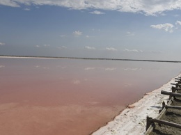 Лечебному озеру Сасык-Сиваш грозит экологическая катастрофа - ОНФ