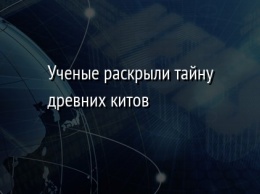 Ученые раскрыли тайну древних китов