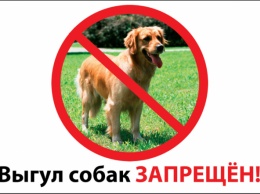 Депутаты хотят ограничить киевлянам места для выгула собак и кошек