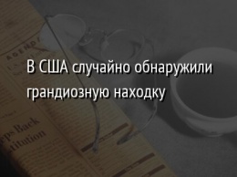 В США случайно обнаружили грандиозную находку