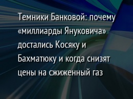 Темники Банковой: почему «миллиарды Януковича» достались Косяку и Бахматюку и когда снизят цены на сжиженный газ