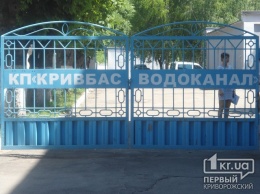 «Кривбассводоканал» 4 дня не приезжает на вызов, затапливается частное домовладение, - свидетели событий