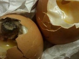 В каком днепровском супермаркете продают тухлые яйца