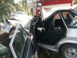 ДТП В Киевской области: автомобиль врезался в дерево