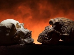 Ученые: неандертальцы исчезли из Европы сразу после пришествия людей