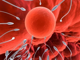 7 признаков здоровой спермы: вот как можно уберечь мужскую плодовитость!