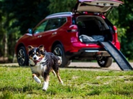 Nissan X-Trail приспособили для перевозки собак