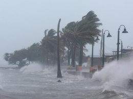 ООН: От урагана "Ирма" могут пострадать 37 млн человек