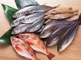 Рыба-убийца: как морепродукты ставят под угрозу наше здоровье (ФОТО)