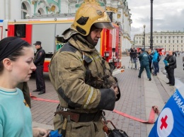 В Эрмитаже произошло возгорание: четыре кота в больнице