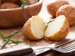 Диетологи рассказали о совместимости диеты и картофеля