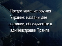 Предоставление оружия Украине: названы две позиции, обсуждаемые в администрации Трампа