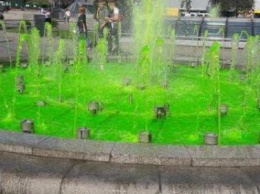Озеленение фонтана: на Майдане потрудились хулиганы (ФОТО)