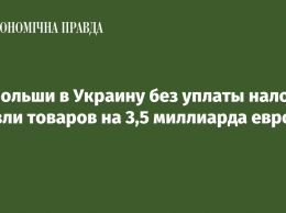 Из Польши в Украину без уплаты налогов ввезли товаров на 3,5 миллиарда евро